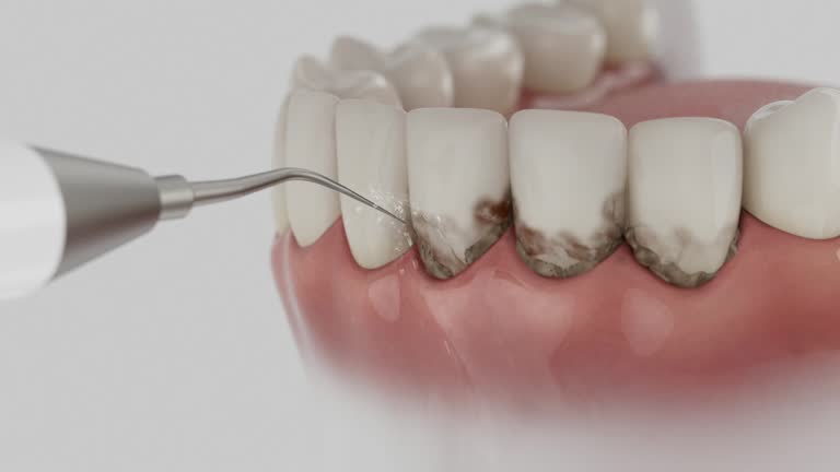 Reliable Dental contractor in Bel Air North, MD by Dentist Open Now